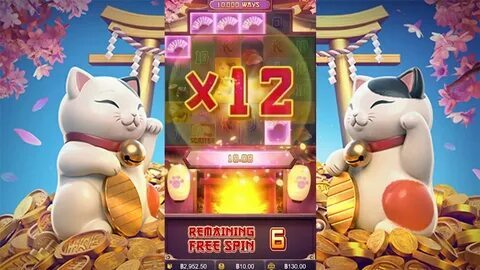 55c cassino 