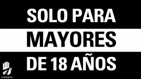 noticias sobre apostas 